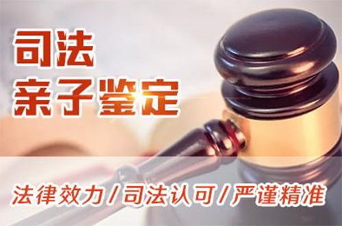 重庆司法DNA亲子鉴定需要如何做,重庆司法亲子鉴定大概多少钱